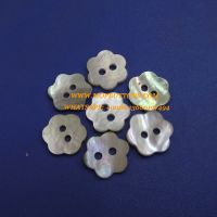 Chinese Akoya Shell Button Bulk Sewing Buttons for Sale