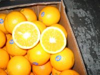 Oranges