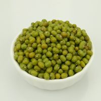 High Quality Green Mung Beans with low price