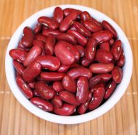 Premium Quality RED Kidney Bean For Sale