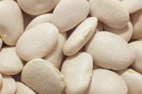 Large Quantity Lima Beans Supply