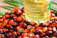 100% pure CP 10 crude palm oil for cooking