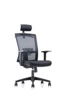 High back executive office chair, mesh chair