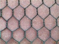 Useful Electric-galvanized Hexagonal Wire Mesh