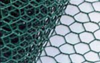 Useful Electric-galvanized Hexagonal Wire Mesh