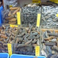 Fresh & Dried Sea Cucumber Dried sea cumber