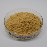 Low Molecular Weight Chitosan Oligosaccharide Powder 