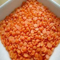 Best Grade Red Lentils 