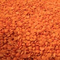 Quality Canadian Red Lentils 