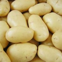 Fresh Potatoes for sale 