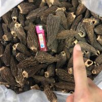 Dried Black Morels Mushrooms for Sale with High Quality 