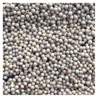 White Pepper For Sale Black And White Pepper 