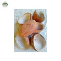 Premium Quality Best Price Wholesale Dried Style Coconut Copra 