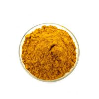 Wholesale Organic Pure Ginger Powder 