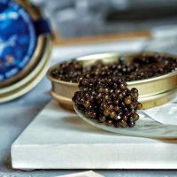 almas irani Beluga sturgeon caviar sushi special authentic readymade american paddlefish sturgeon caviar 