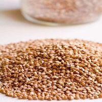  Best Price High Quality Buckwheat 