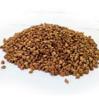 Top Grade Roasted Buckwheat