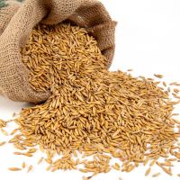  High Organic Dry Oat Grain