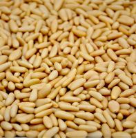 Quality  Pine Nuts for sale