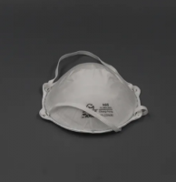 Niosh N95 Disposable Dust Face Mask