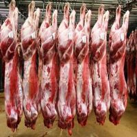  Premium Quality 100% Halal Fresh/Frozen Sheep/Goat/Lamb Meat/Carcass For Sale