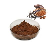  100% Natural and Alkalized Cocoa Powder