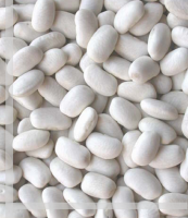 Best Seller Kidney Beans-White Big Beans 