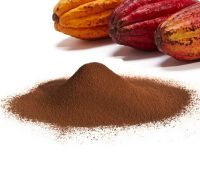 Raw Organic Cacao Powder Available 