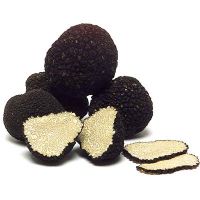  White and Black truffle, fresh truffle