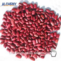 ethiopian red kidney beans 