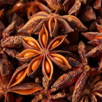 Good quality Star Anise seed or powder 