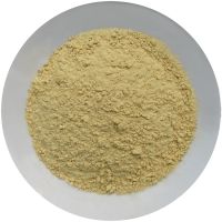 Best price Galangal Powder