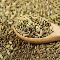High Quality Factory Price Fennel Seed 