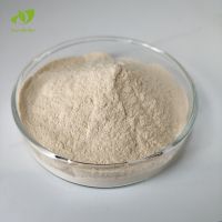 Bulk Organic Isabgol Psyllium Husk Extract Powder 