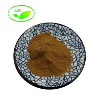 High Quality Cardamom Extract/Green Cardamom Extract Powder 