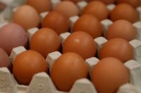  Farm Fresh Chicken Eggs