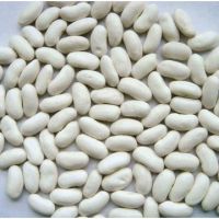  White kidney beans / Red kidney beans / Light Speckled Kidney Beans