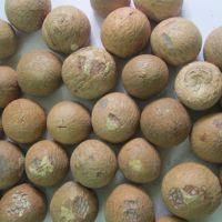 DRIED WHOLE BETEL NUTS/ ARECA NUTS 