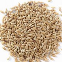  Canary Seed for Birds Feed