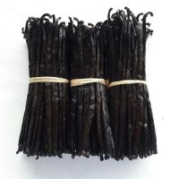 Gourmet Vanilla Beans