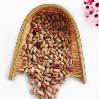  Hot Sale Organic Light Speckled Kidney Beans with Export Kidney Beans