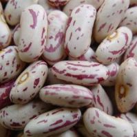  Light Speckled Kidney Beans - Pinto Beans, Sugar Beans
