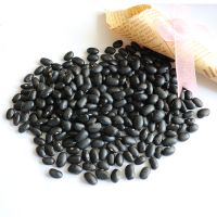  High Quality Organic Small Black Kidney Beans