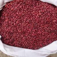  Premium Quality Natural Bulk Red Kidney Beans for sale