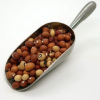  Best Price Jugo Beans for Sale