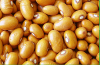  Yellow Kidney Beans