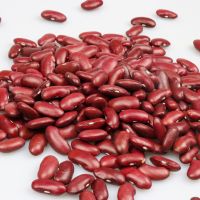 High Quality Packing Organic Green Mung Bean Red Black soy Beans