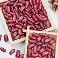 Dark Red Kidney Beans With Low Price