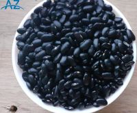 Bulk Dried Black Kidney Beans
