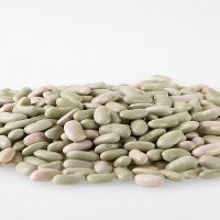 High quality Fayot (Flageolet) Beans